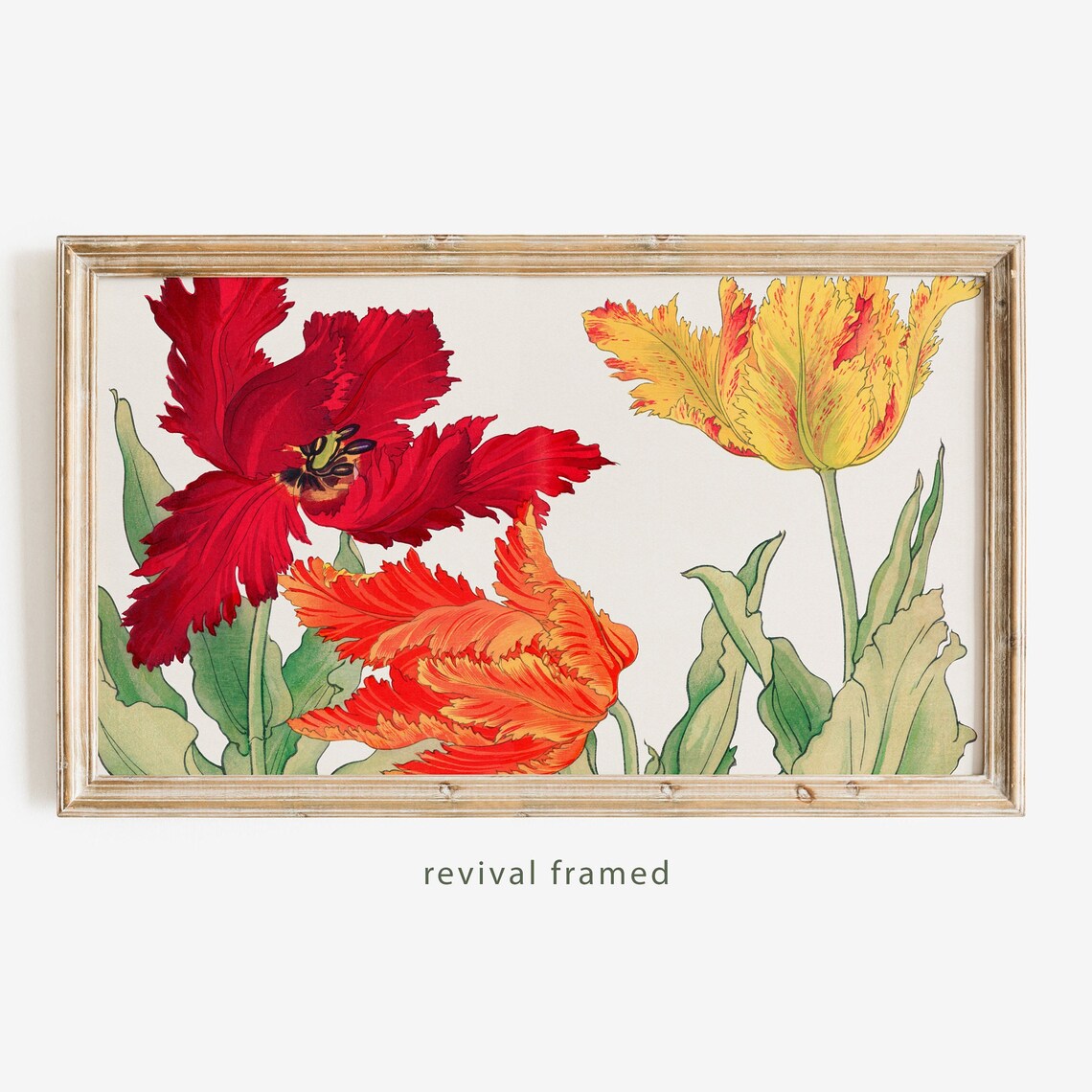 Botanical Frame TV Art, Minimalist Vintage Tulips