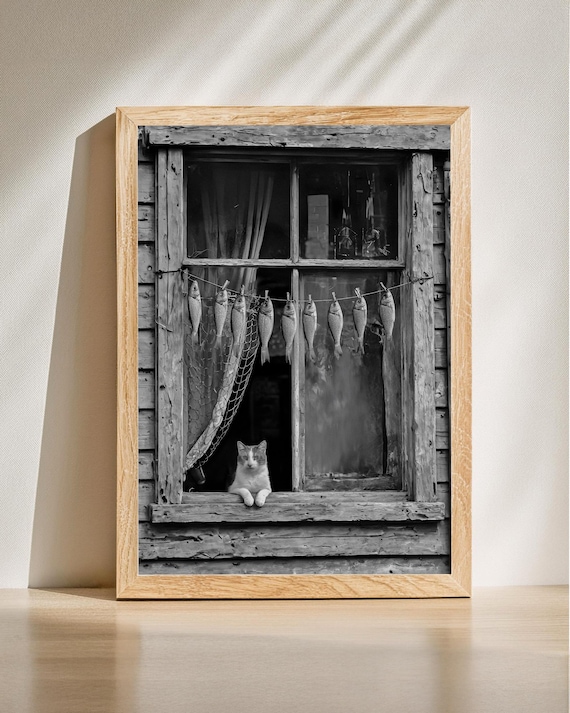 Rustic Cat Window Fish Catch Black And White Photography Poster