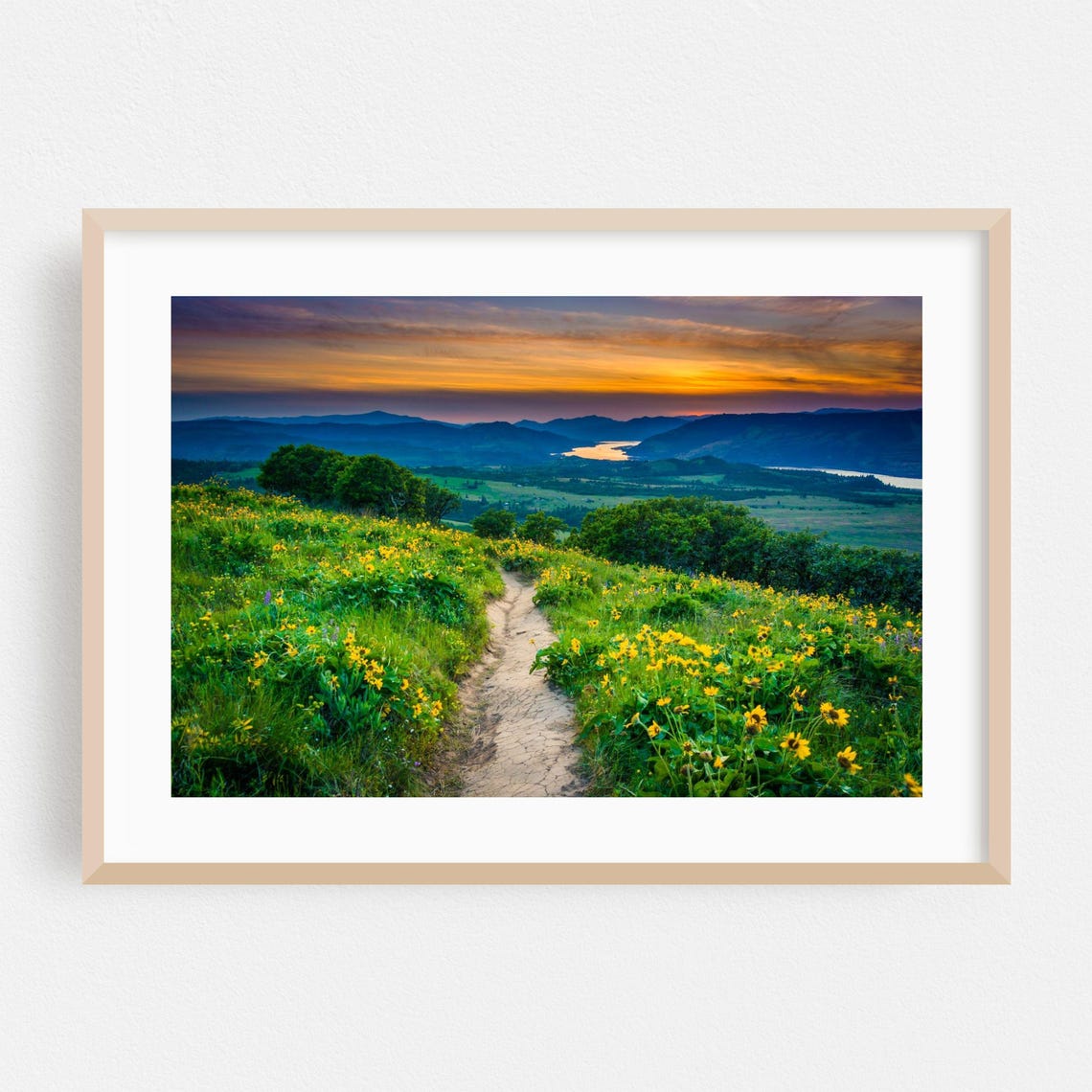 Oregon Sunset Wildflower Trail River Valley Nature Photo Poster
