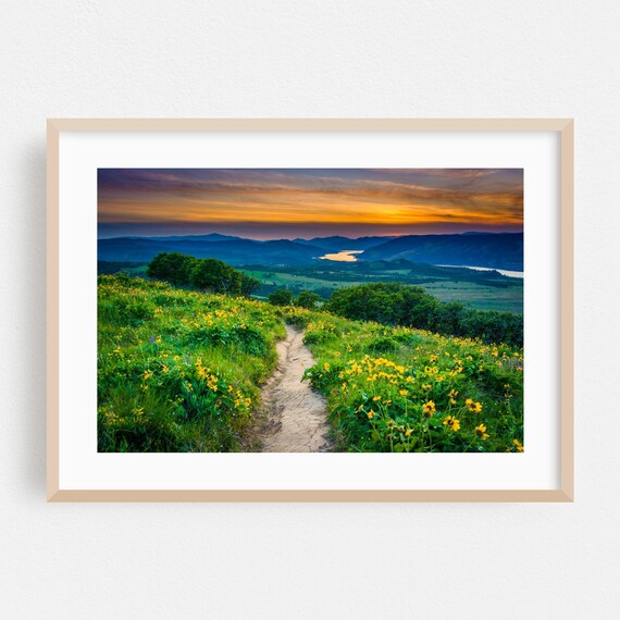 Oregon Sunset Wildflower Trail River Valley Nature Photo Poster