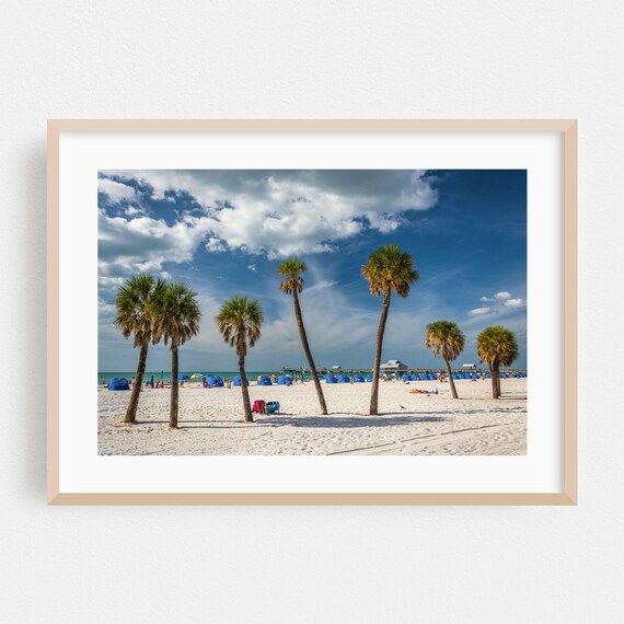 Clearwater Beach Florida Palm Trees Sunny Coast Photo Poster