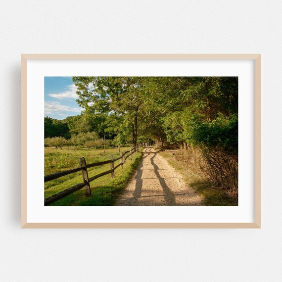 Commack New York Dirt Path Wooden Fence Summer Landscape Photo Poster