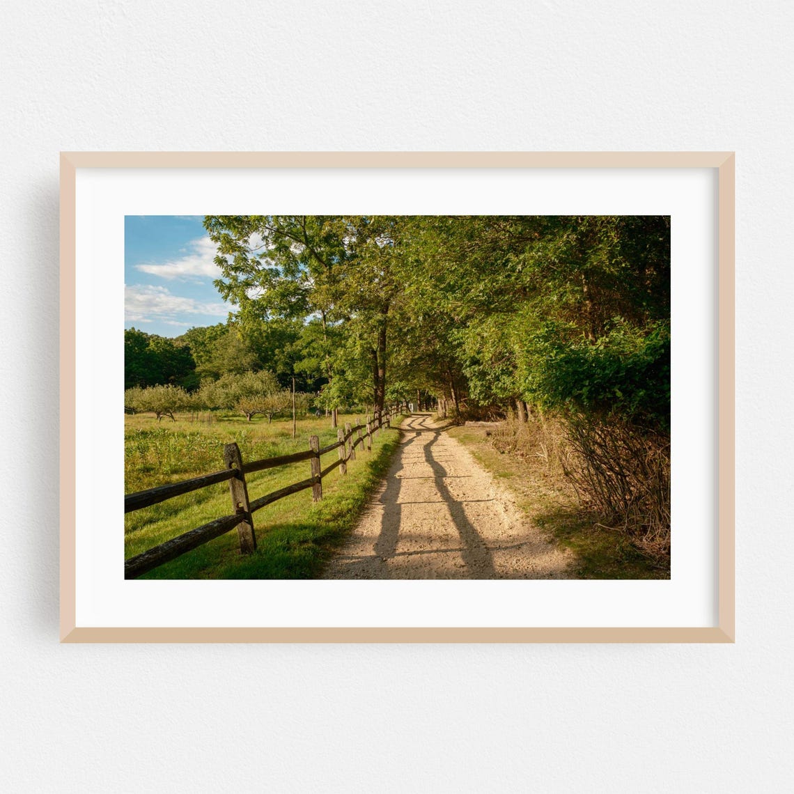 Commack New York Dirt Path Wooden Fence Summer Landscape Photo Poster
