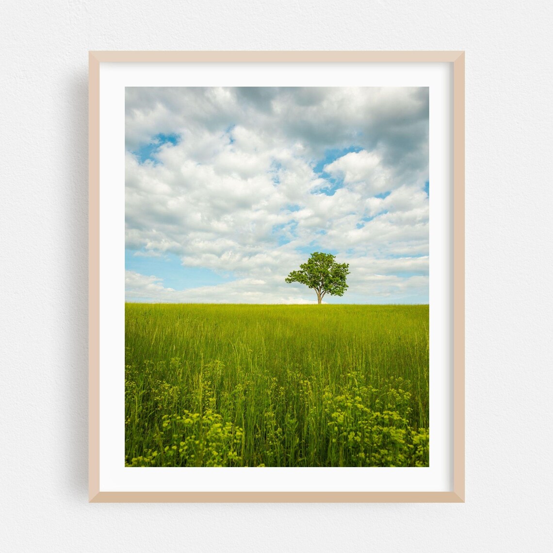 Lone Tree in Vast Green Summer Meadow Under Cloudy Sky Landscape Poster
