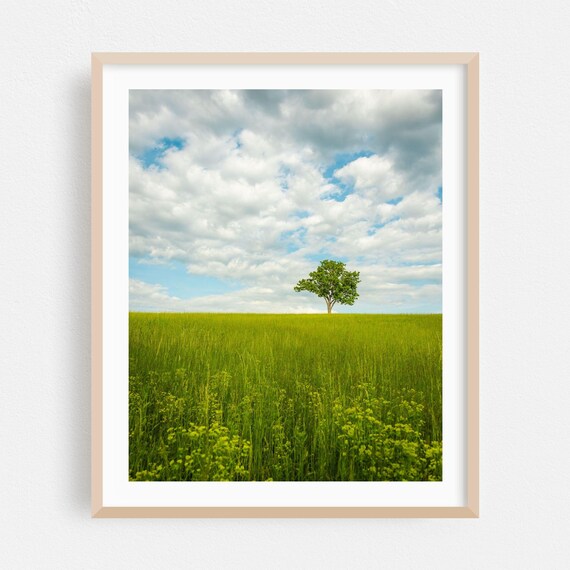 Lone Tree in Vast Green Summer Meadow Under Cloudy Sky Landscape Poster
