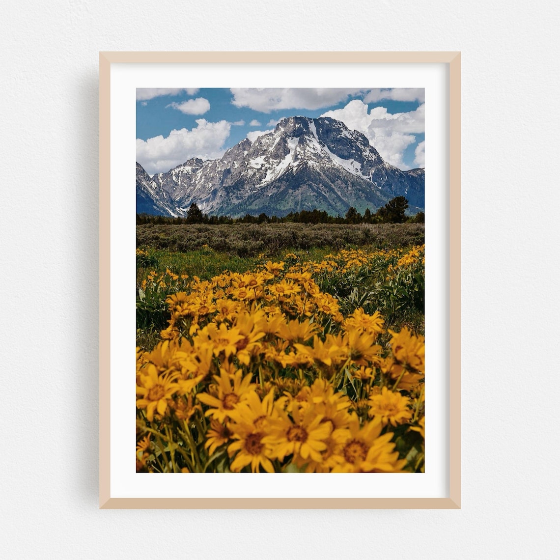 Wyoming Snowy Mountain Peak Yellow Wildflower Meadow Photo Poster