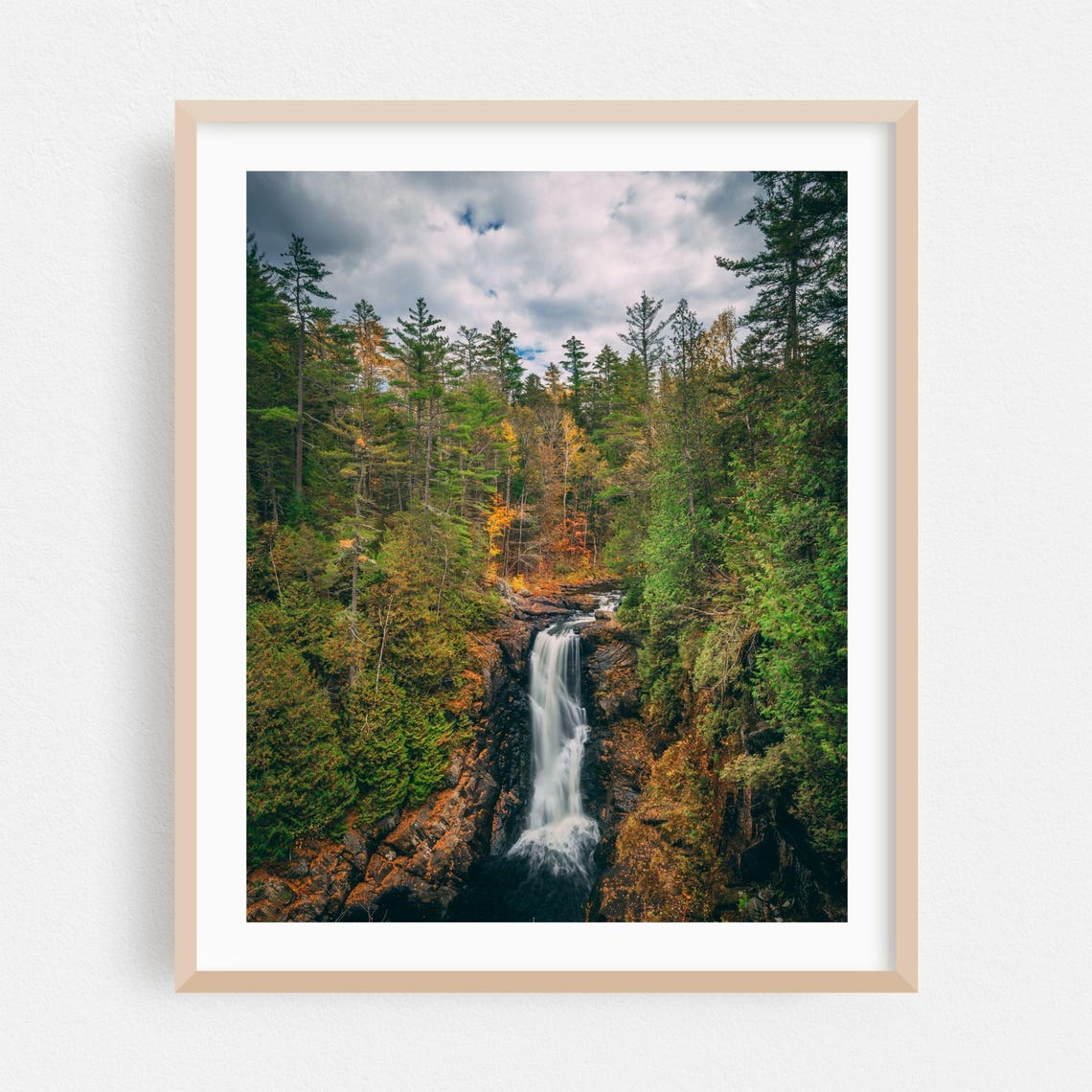 Forest Waterfall Cascading Through Dense Evergreen Pine Woods Poster