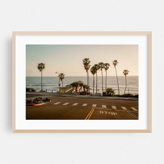 Coastal Palm Trees Street Sunset Photography Poster Ocean View Road Scene