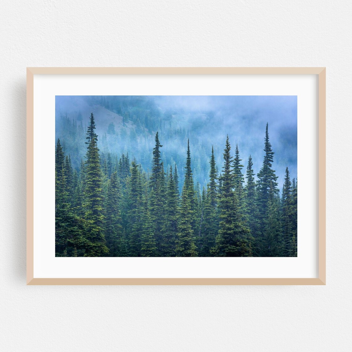 Misty Pine Forest in Blue Fog Moody Nature Photography Poster