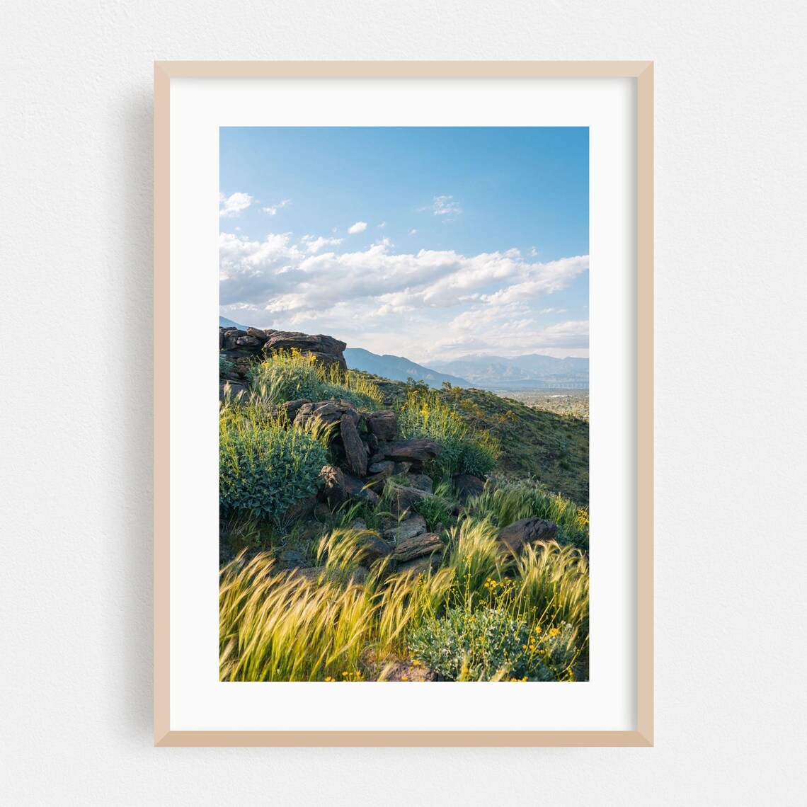 Palm Springs Desert Wildflowers Rocky Hills Mountain View Photo Poster
