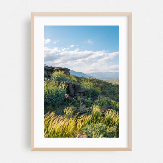 Palm Springs Print Wall Art Landscape Framed Nature Home Decor Mountain Poster Scenic Fine Desert Photography