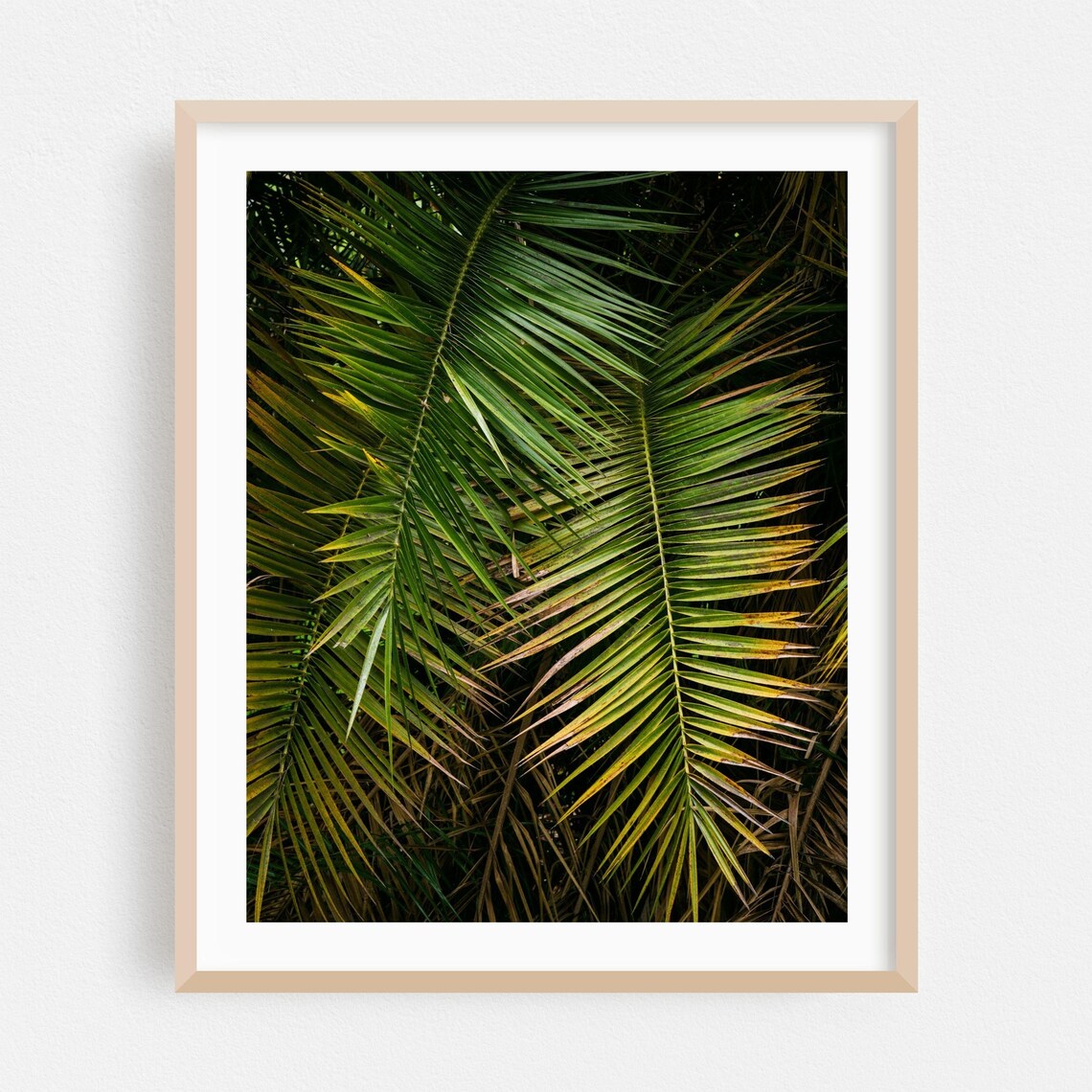 Dark Green Palm Fronds Tropical Botanical Photography Wall Art