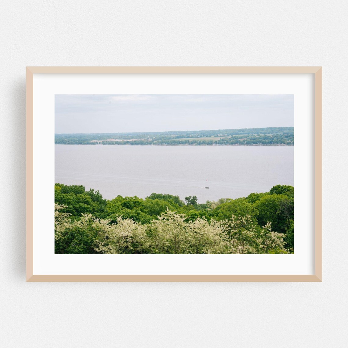 Peoria Illinois River Overlook Green Summer Trees Photo Poster