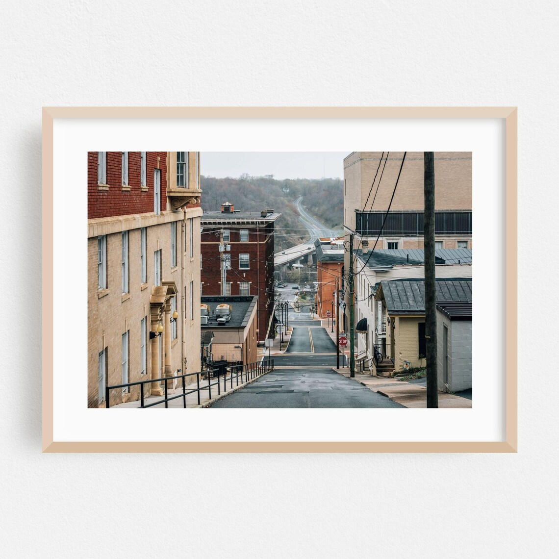 Lynchburg Virginia Street Photo Poster Small Town Architecture View
