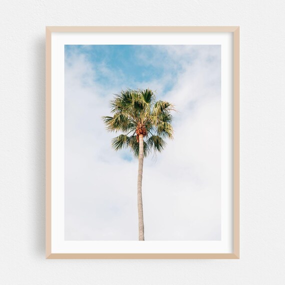 Laguna Beach Print Wall Art Palm Tree Framed Tropical Home Decor Minimalist Poster Nature Fine Summer