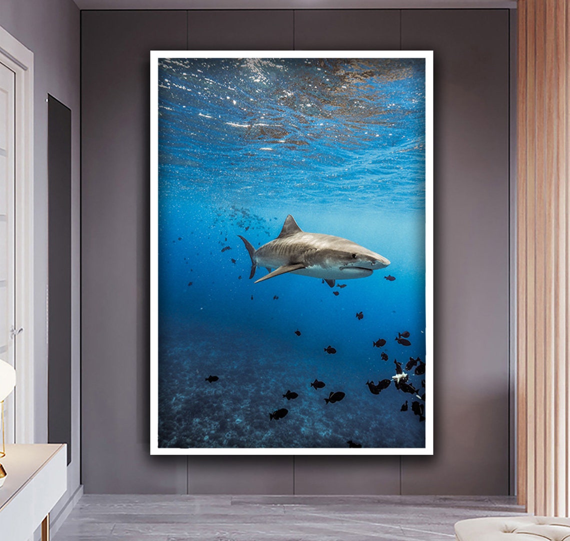 Tiger Shark Underwater Ocean Blue Photography Wild Animal Poster