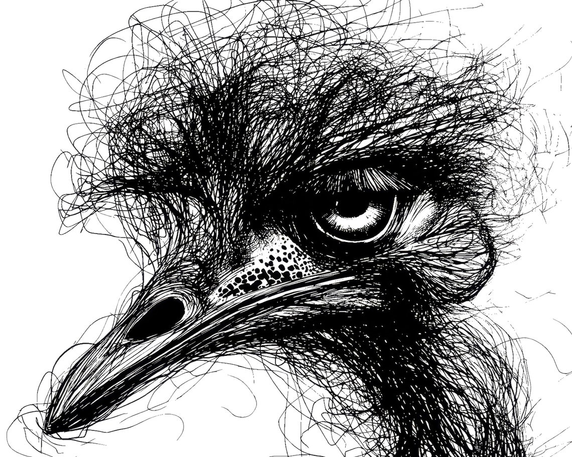 Ostrich Head Scribble Art Black And White Line Drawing Bird Print - Image 2