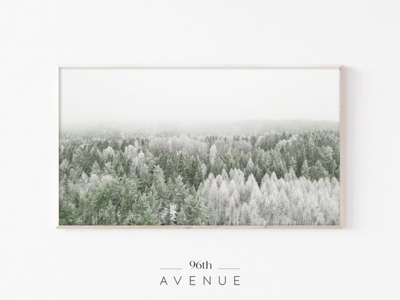 Foggy Forest Art For TV