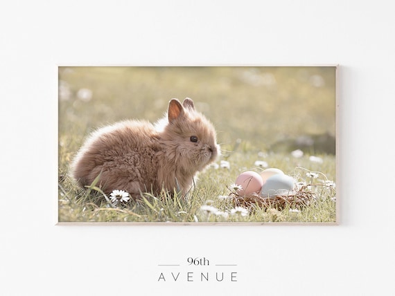 Fluffy Tan Bunny With Pastel Easter Eggs In Grass Nest Photo Poster