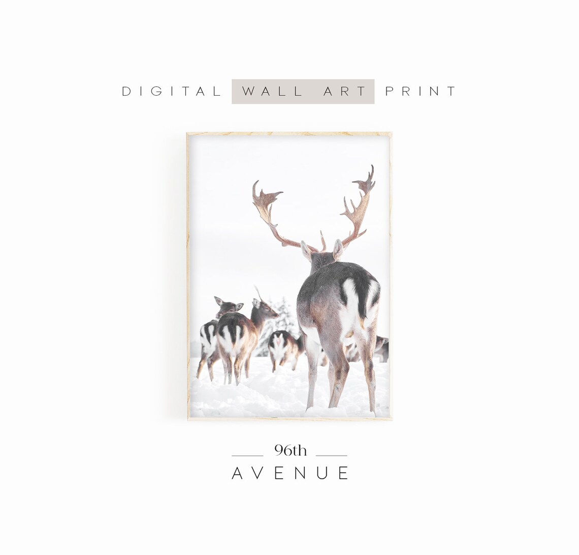Winter Deer Christmas Holiday Decor Art Print