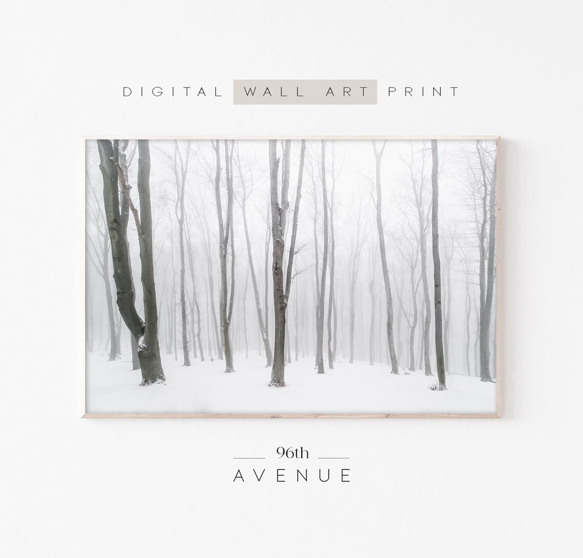 Snowy Winter Forest Bare Trees in Fog Minimalist Photography Poster