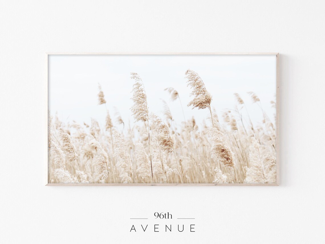 Pampas Grass Modern Farmhouse Botanical Art Print