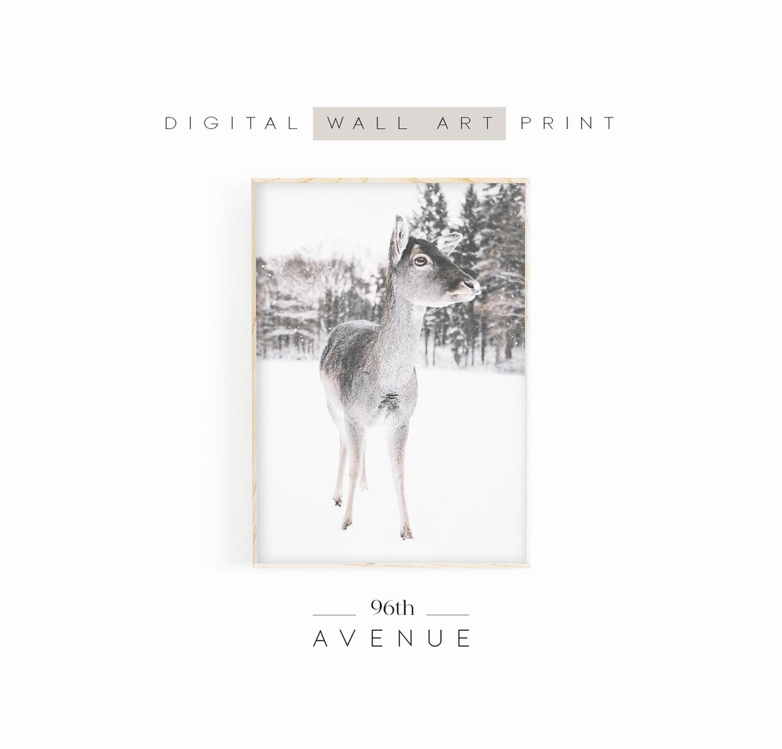 Young Doe Standing in a Snowy Field Minimalist Winter Wildlife Poster