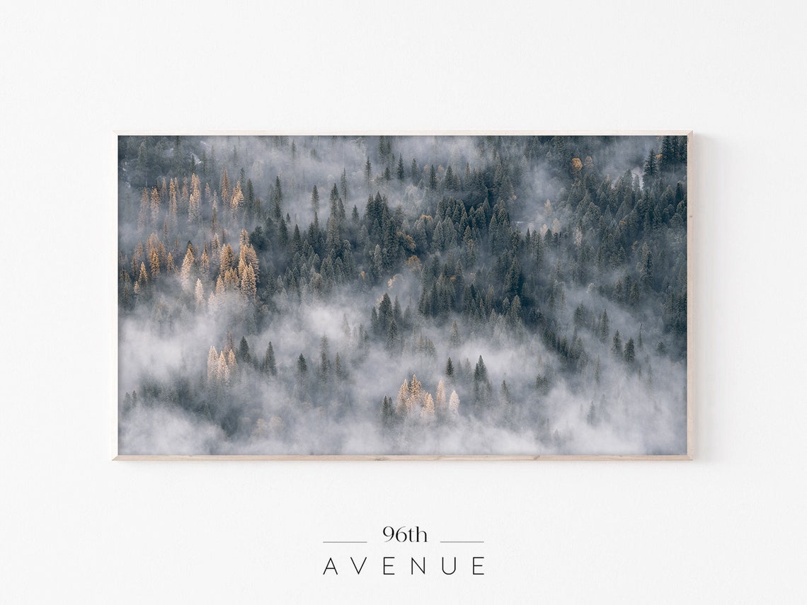 Foggy Forest Nature Landscape
