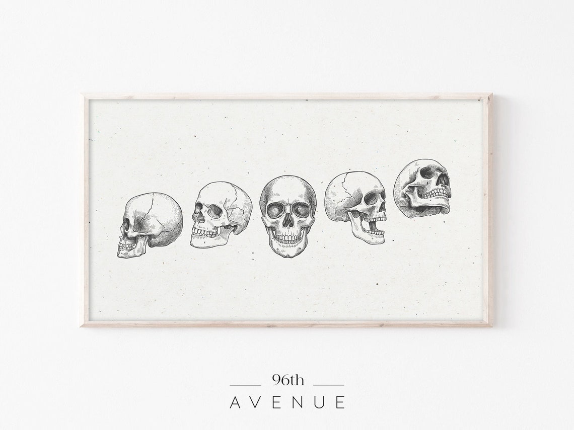 Five Human Skull Studies Sketch Vintage Anatomical Gothic Poster