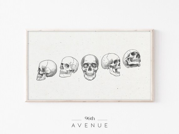 Five Human Skull Studies Sketch Vintage Anatomical Gothic Poster
