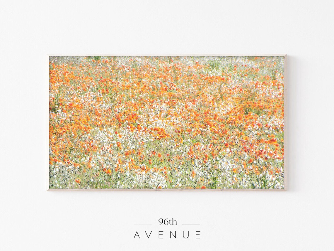 Bright Orange Poppy Field Wildflower Countryside Spring Poster
