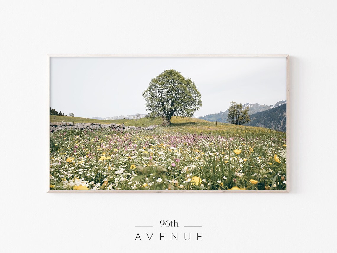 Spring Flower Field Botanical Art for TV Displays