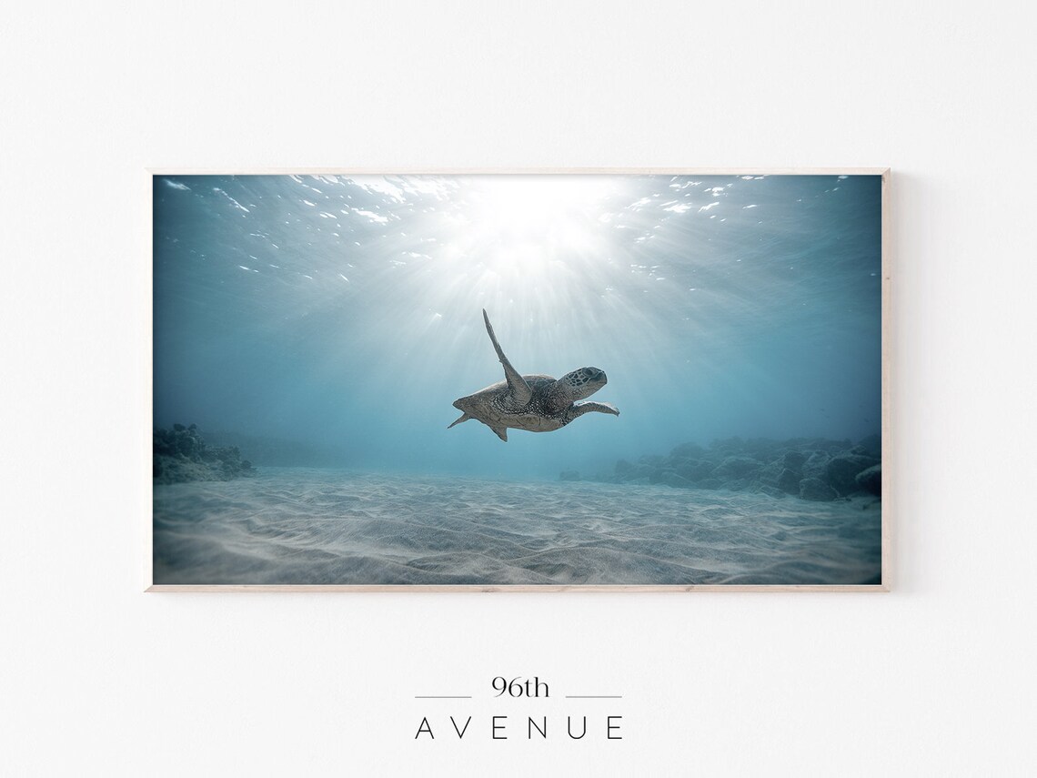 Sea Turtle Beach Art, Summer Travel Poster - Image 3