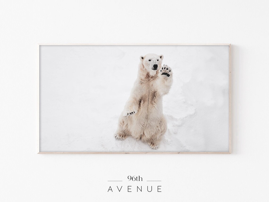 Polar Bear Winter TV Art