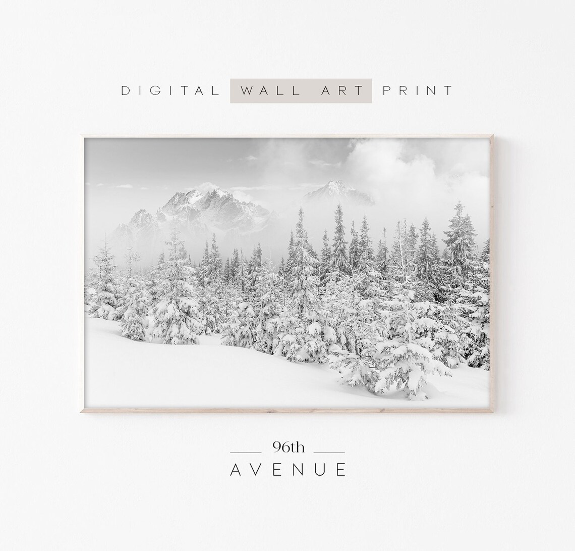 Winter Forest Photography Art Print