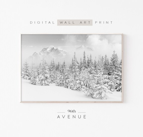 Winter Forest Photography Art Print