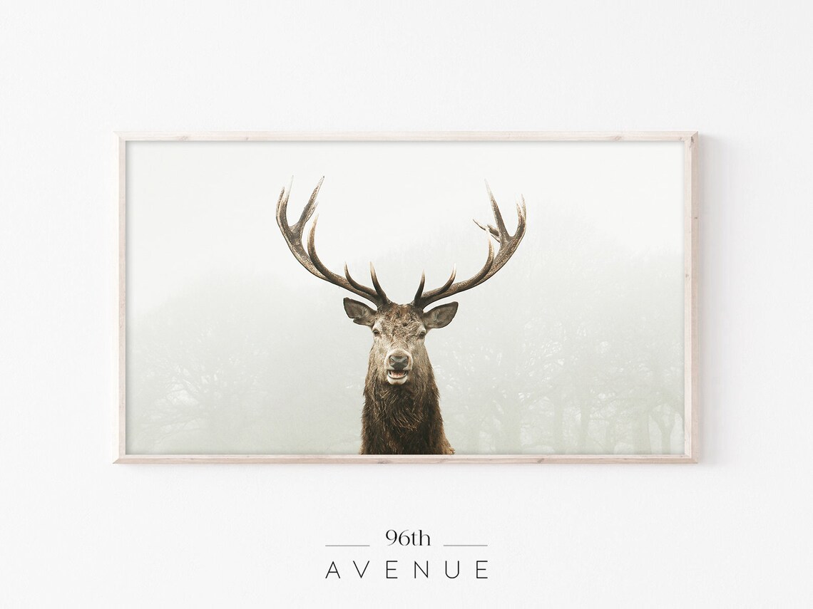 Majestic Stag Antlers Misty White Background Wildlife Animal Poster