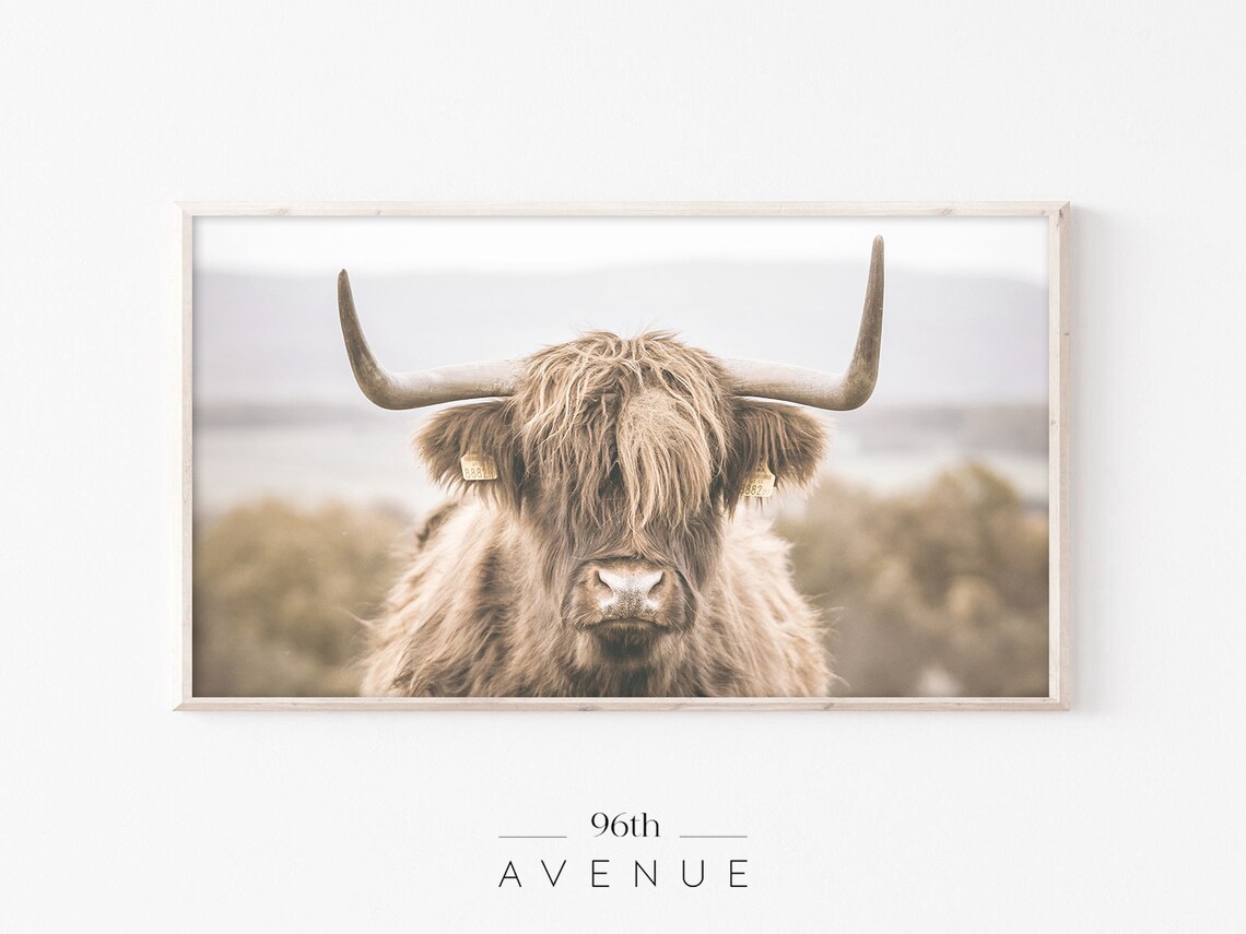 Highland Cow Farmhouse TV Art, Art Print