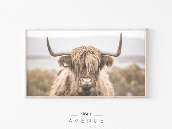 Highland Cow Farmhouse TV Art, Art Print