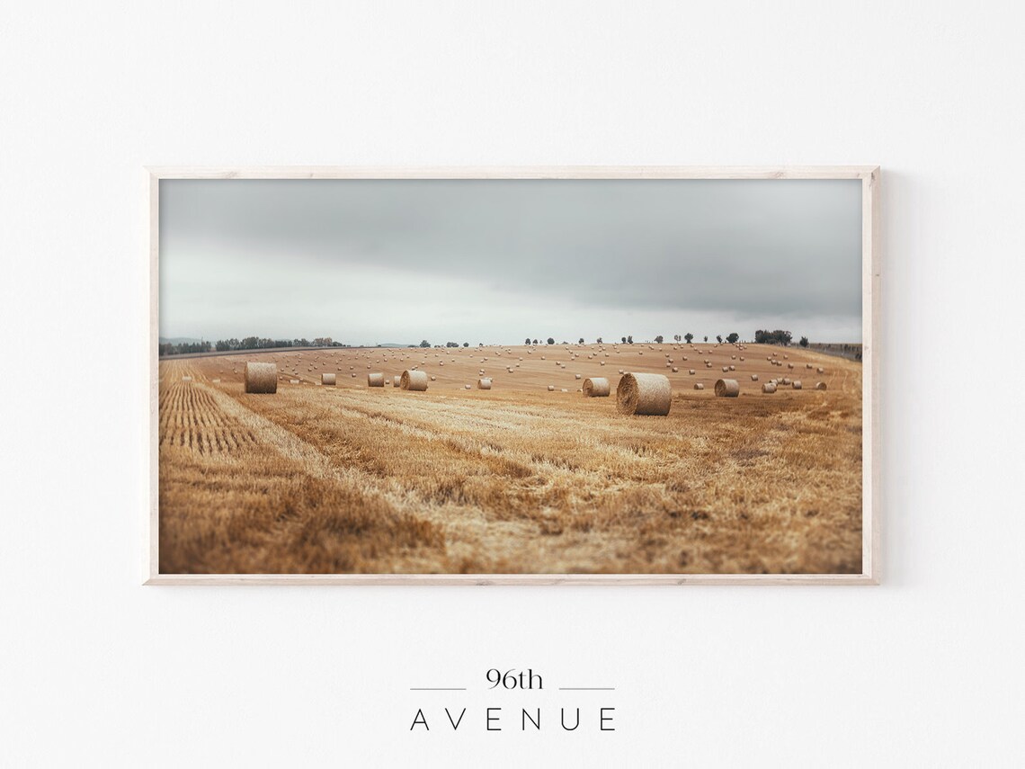 Golden Hay Bales Rolling Farmland Field Harvest Landscape Print