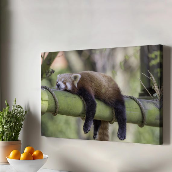 Red Panda Decorative Canvas Painting Large Wall Art Decor Gift For Nature Enthusiasts Animal Housewarming Gifts