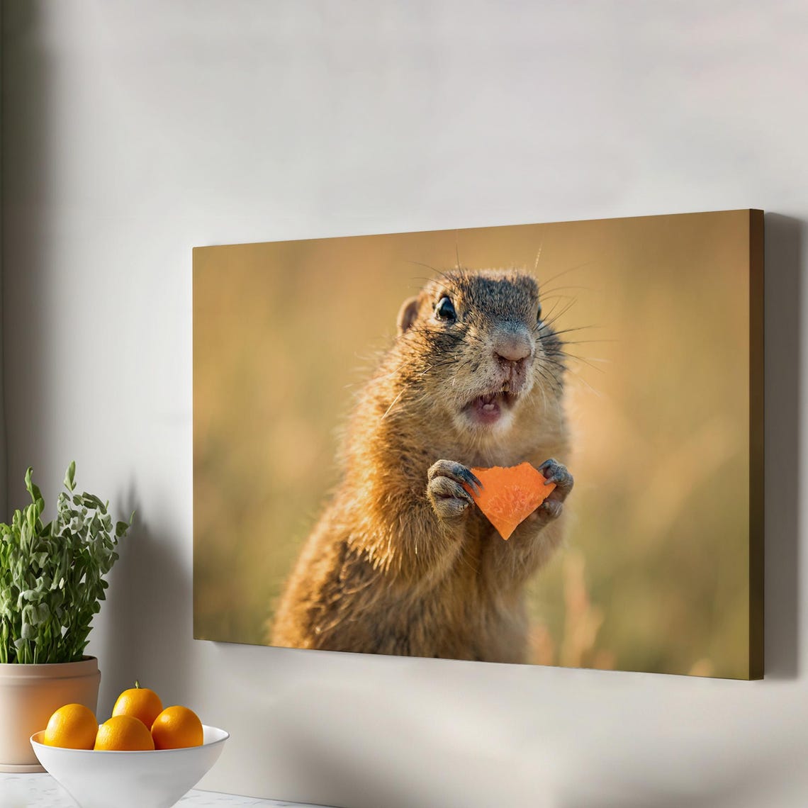 Surprised Ground Squirrel Holding Carrot Wildlife Photo Poster