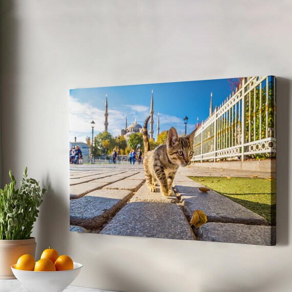 Tabby Kitten In Front Of Sultanahmet Mosque Istanbul Cat Photography Poster