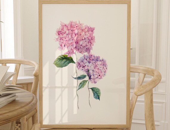 Pink Hydrangea Blossoms Soft Watercolor Botanical Flower Art Poster