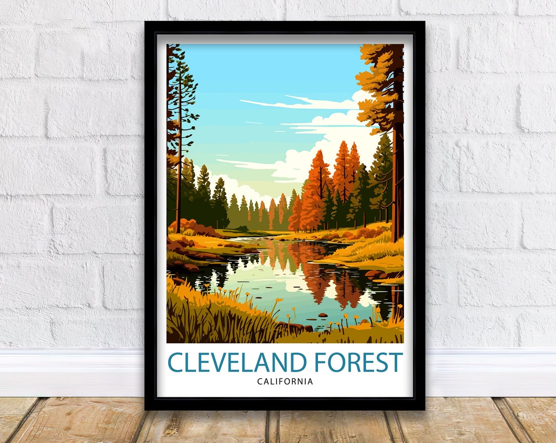 Cleveland Forest California Stream Autumn Pines Reflection Poster