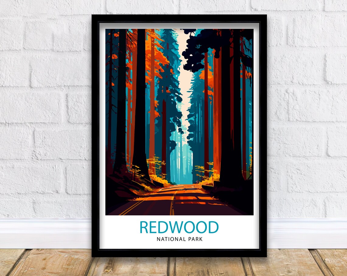 Redwood National Park California Travel Poster