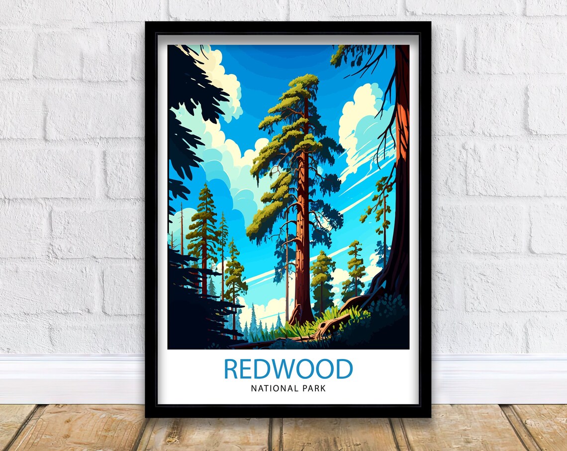 Redwood National Park Towering Redwood Trees Blue Sky Travel Poster