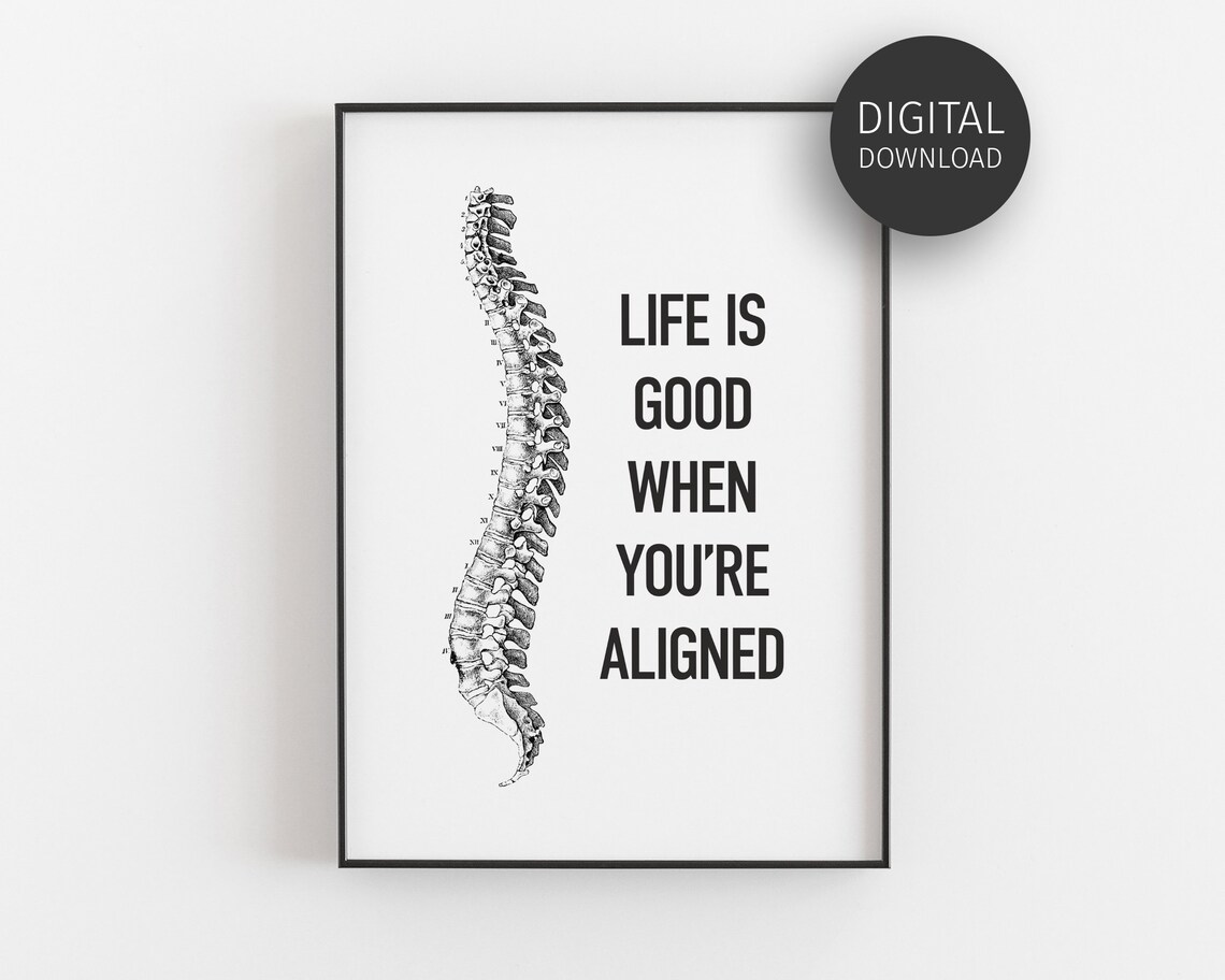 Chiropractic Spine Anatomy Poster, Office Decor