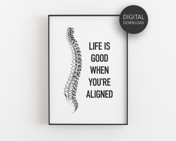 Chiropractic Spine Anatomy Poster, Office Decor