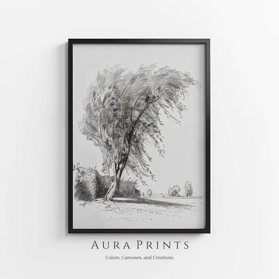 Willow Tree Sketch Neutral Drawing Vintage Wall Art Rustic Cottage Gift 0997